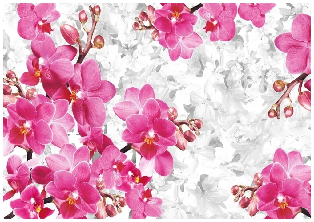 Фотообои на стену флизелиновые "Шикарные орхидеи" 360X253 см (ШxВ)