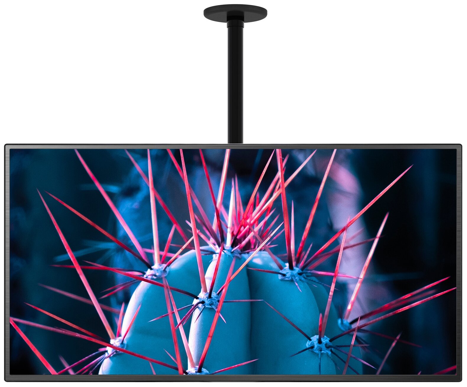 Кронштейн для телевизора Cactus CS-CP07 черный 23"-55" макс.45кг потолочный поворот и наклон