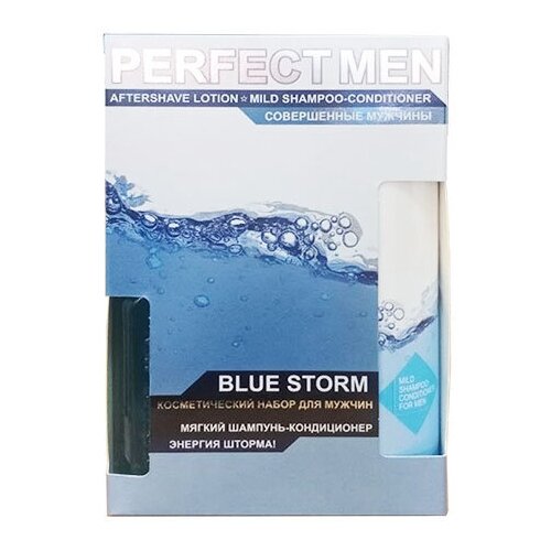 Парфюмерия XXI века Мужской Perfect Men Blue Storm Набор: лосьон после бритья 100мл, шампунь 250мл