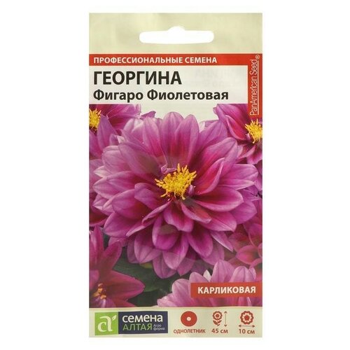 Семена цветов Георгина Фигаро, фиолетовая, махровая, , ц/п, 5 шт