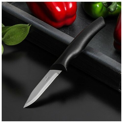 Нож Доляна «Грайм» овощной, лезвие 7,5 см, цвет чёрный