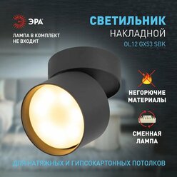 Светильник накладной ЭРА OL12 GX53 SBK потолочный IP20 12 Вт, черный