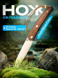 Основная фотография от вендора