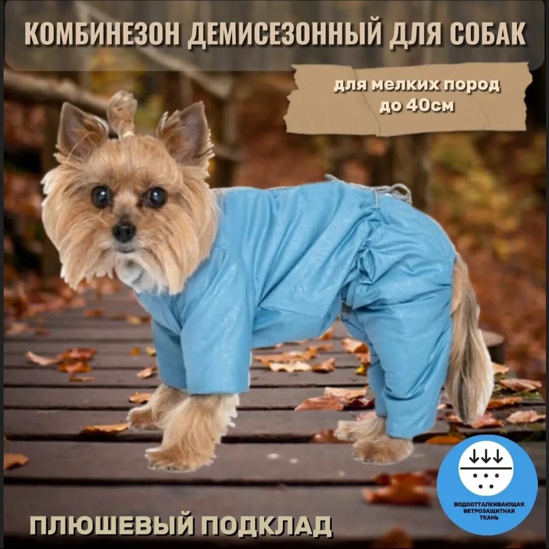 Комбинезон демисезонный на плюшевом подкладе для собак, голубой, р-р 25(кобель)