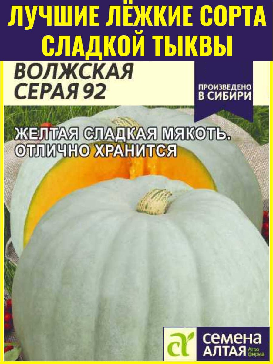 Семена сладкой тыквы Волжская Серая 92 - 2 г. Крупноплодный сорт с хорошей лежкостью
