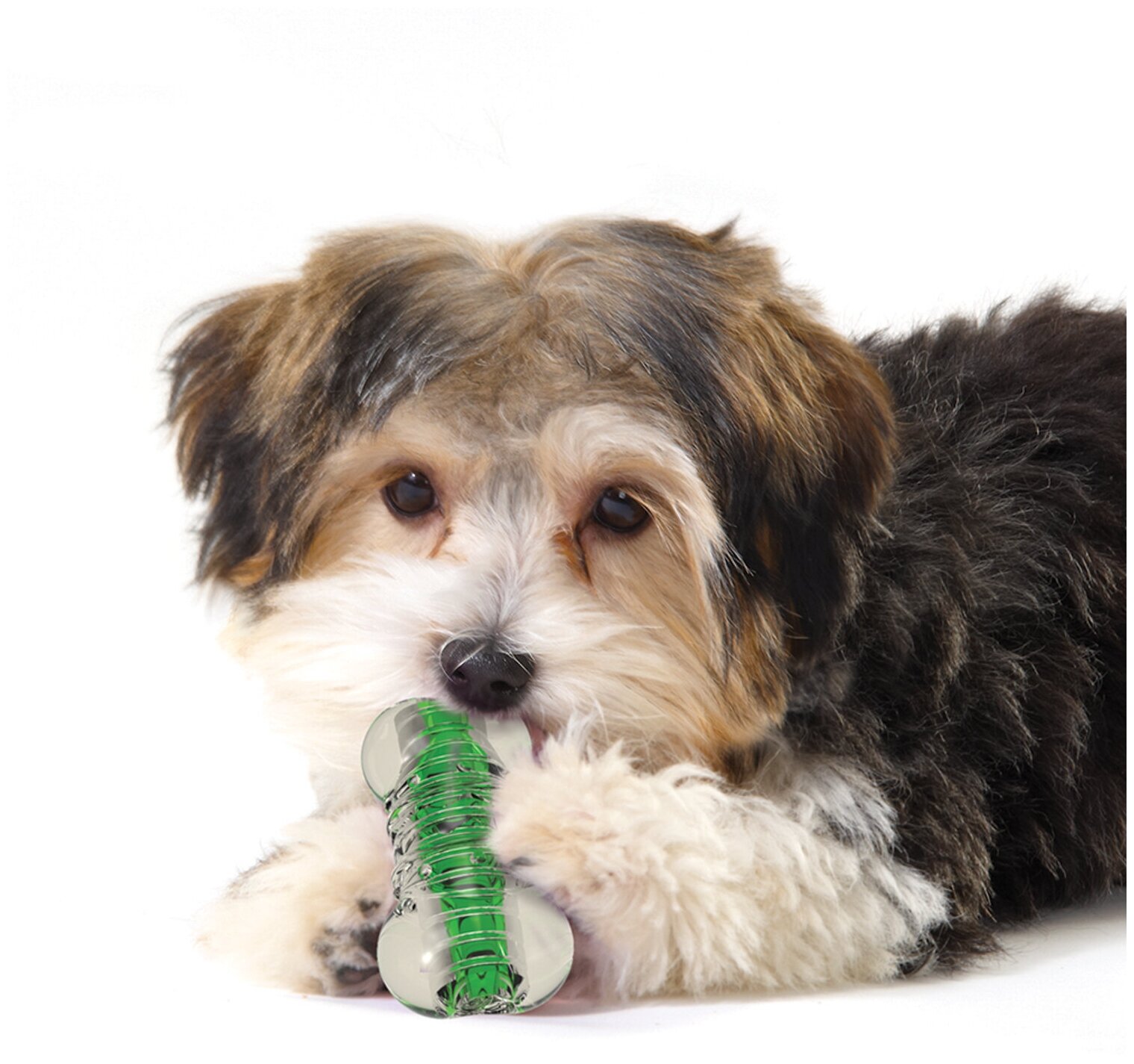 Petstages игрушка для собак "Хрустящая косточка" резиновая 8 см очень маленькая - фотография № 12