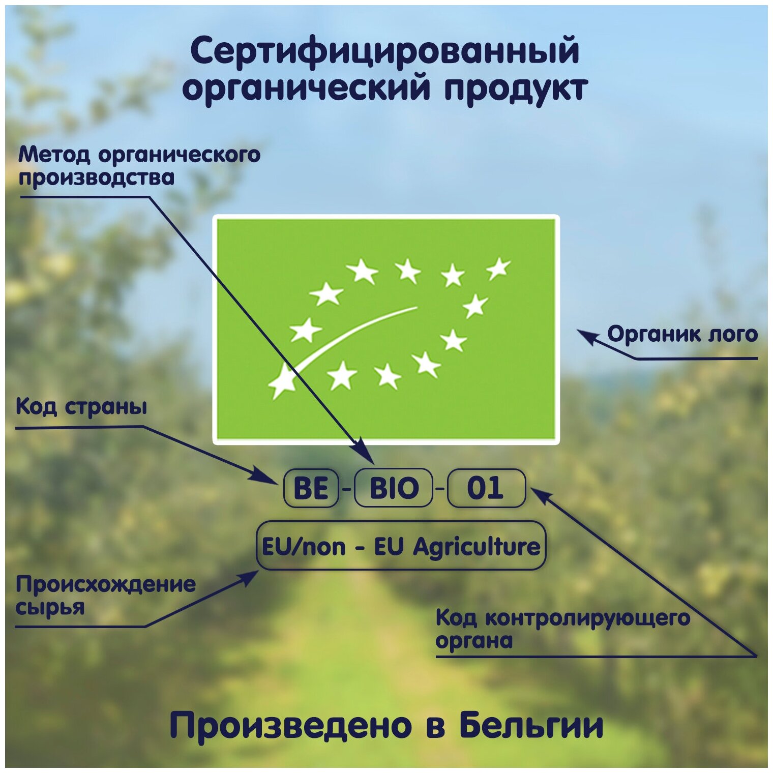 Печенье детское Fleur Alpine С яблочным соком, с 6 месяцев, 120 г - фотография № 11