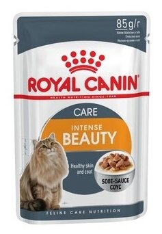 Royal Canin паучи RC Кусочки в соусе для кошек 1-10лет: идеальная кожа и шерсть (Intense Beauty) 40710008R0 | Intense Beauty 0,085 кг 21618 (2 шт)