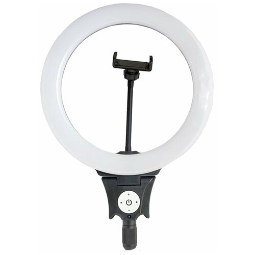 Кольцевая лампа Jmary FM-12R 30 см пульт 209000₽