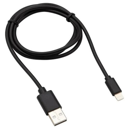 Аксессуар Rexant USB - Lightning 2А 1m Black 18-7050