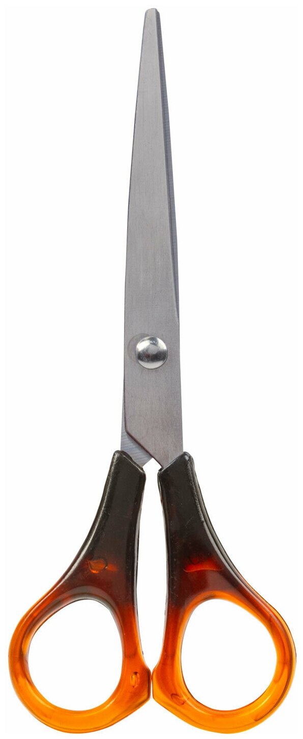 Ножницы STAFF 160 мм, ручки под янтарь, ПВХ чехол с европодвесом - фото №1
