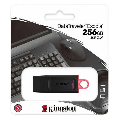 Kingston DataTraveler Exodia DTX/256GB (USB3.2)