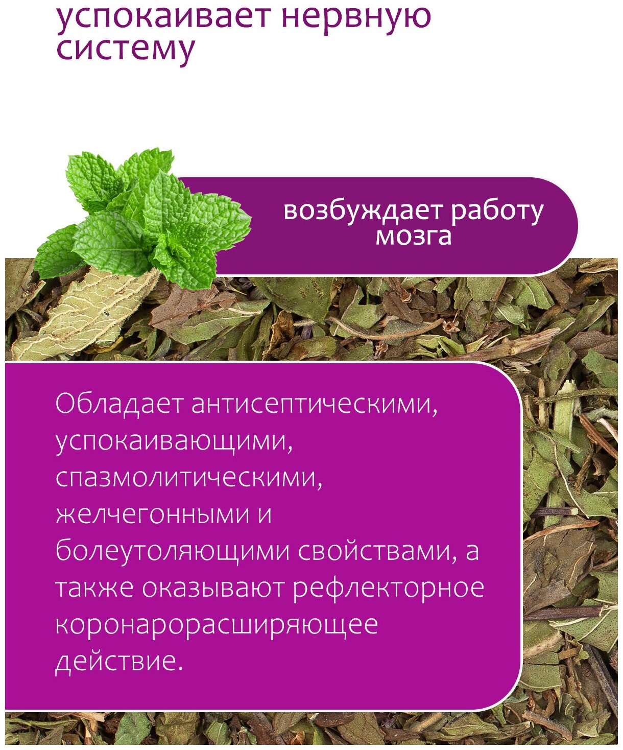 Мята сушеная для чая, перечная Травы горного Крыма, 60 гр - фотография № 5