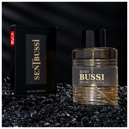 Neo Parfum Туалетная вода мужская Sent BUSSI, 100 мл ca sent beau туалетная вода 50мл уценка