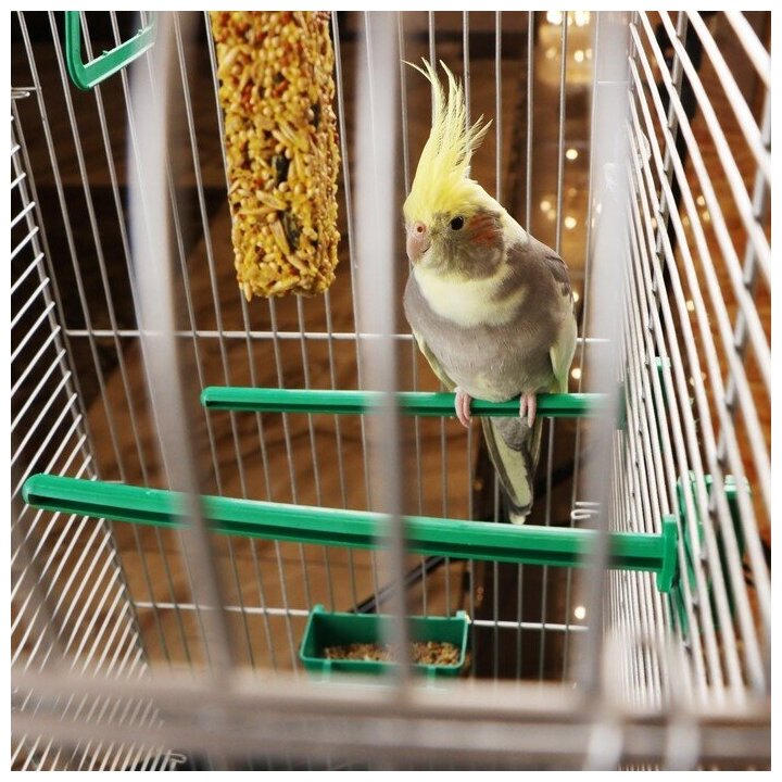 Клетка для птиц "Пижон" №102, хром, укомплектованная, 41х30х76 см, зеленый микс - фотография № 4