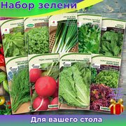 Набор семян "Зелень для салата"