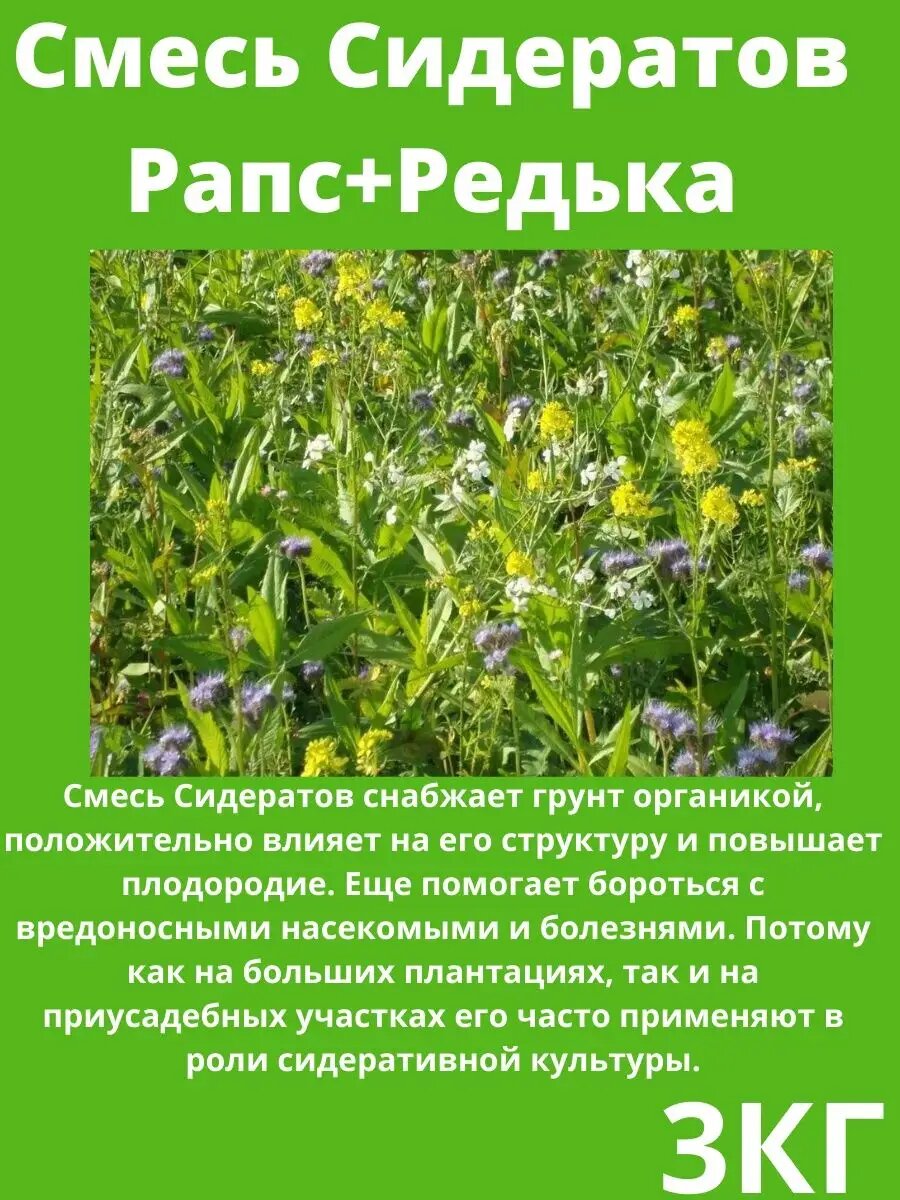 Семена Сидератов Рапс+Редька 3 кг