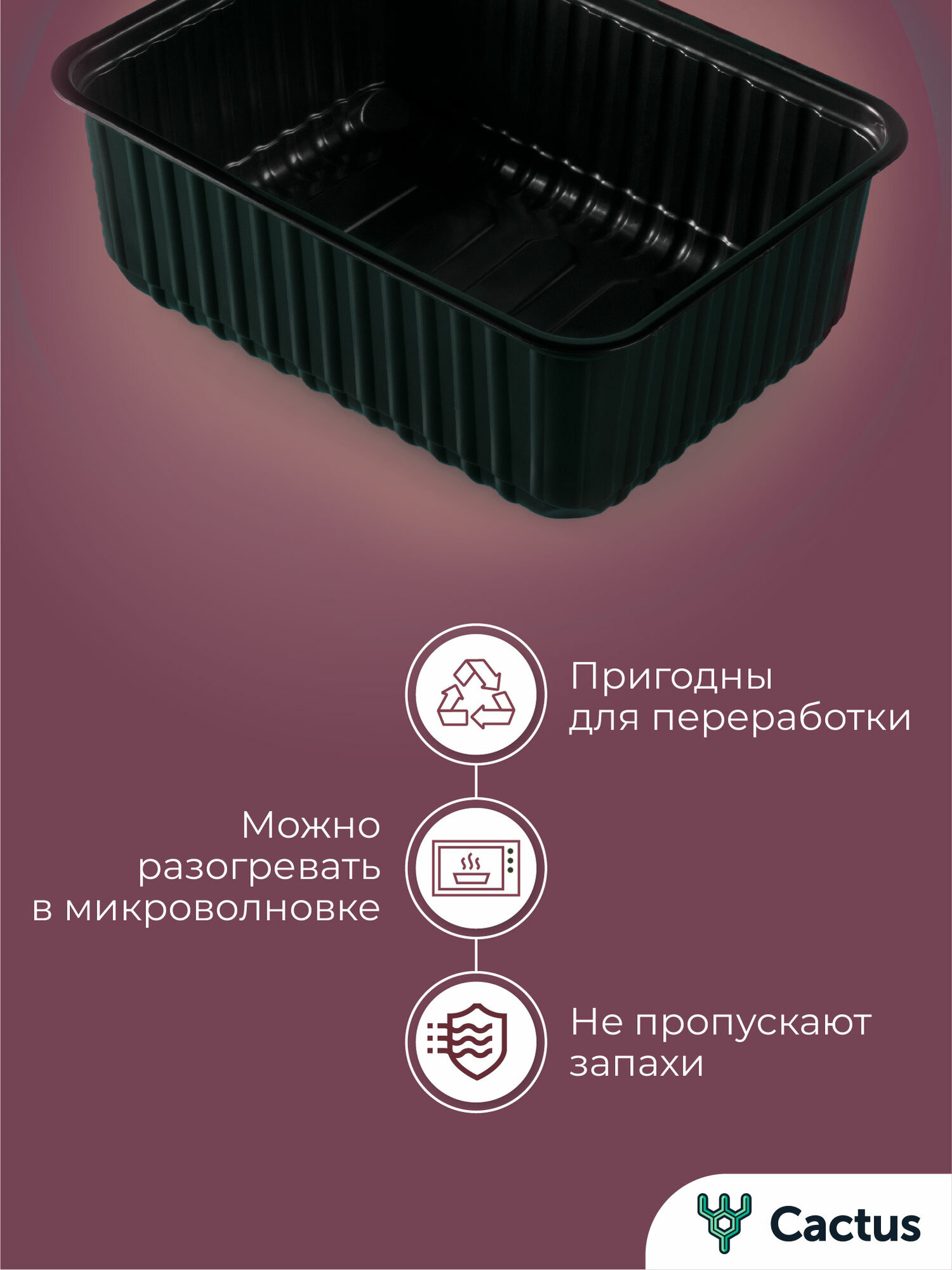 Одноразовый черный контейнер с прозрачной крышкой 1000 мл, набор 10 шт прямоугольная пластиковая посуда для хранения еды, обедов, специй и заморозки продуктов, Cactus — фото 1