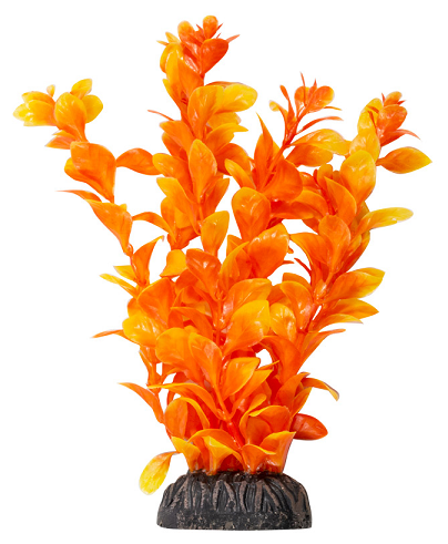 Растение LAGUNA "Людвигия" оранжевая, 100мм - фотография № 3