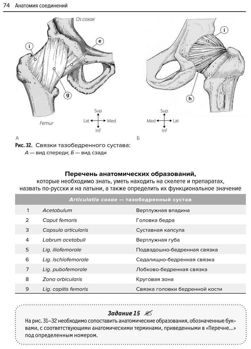 Анатомия соединений (Козлов Валентин Иванович) - фото №3