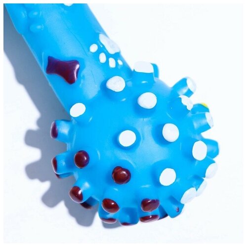 игрушка пищащая увеличенная гантель с лапками для собак 16 5 x 6 см голубая Игрушка пищащая увеличенная ТероПром 7127480 Гантель с лапками для собак, 16,5 x 6 см, голубая