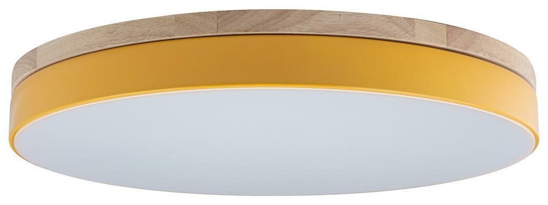 Потолочный светодиодный светильник Loft IT Axel 10001/36 yellow