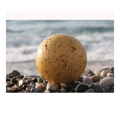 Постер AFG Profi 05088 70?50см