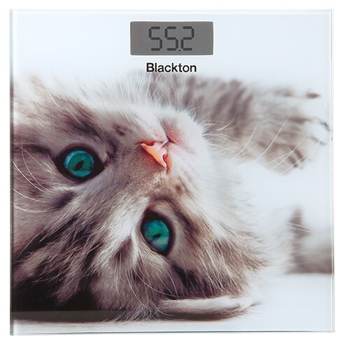 Весы электронные Blackton Bt BS1012 Kitten, kitten