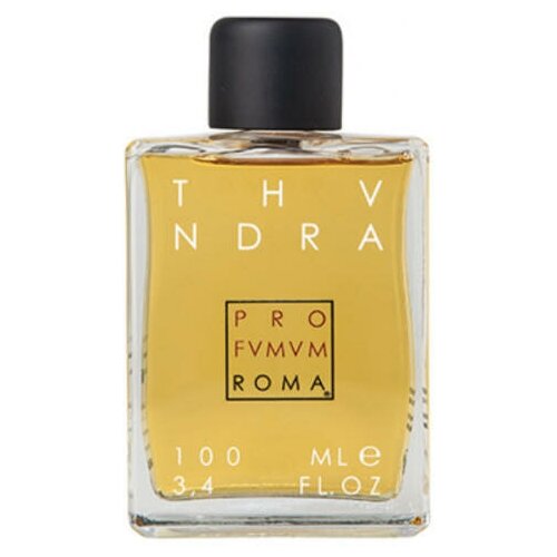 PROFUMUM ROMA THUNDRA Парфюмерная вода 100ml