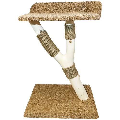 Когтеточка 