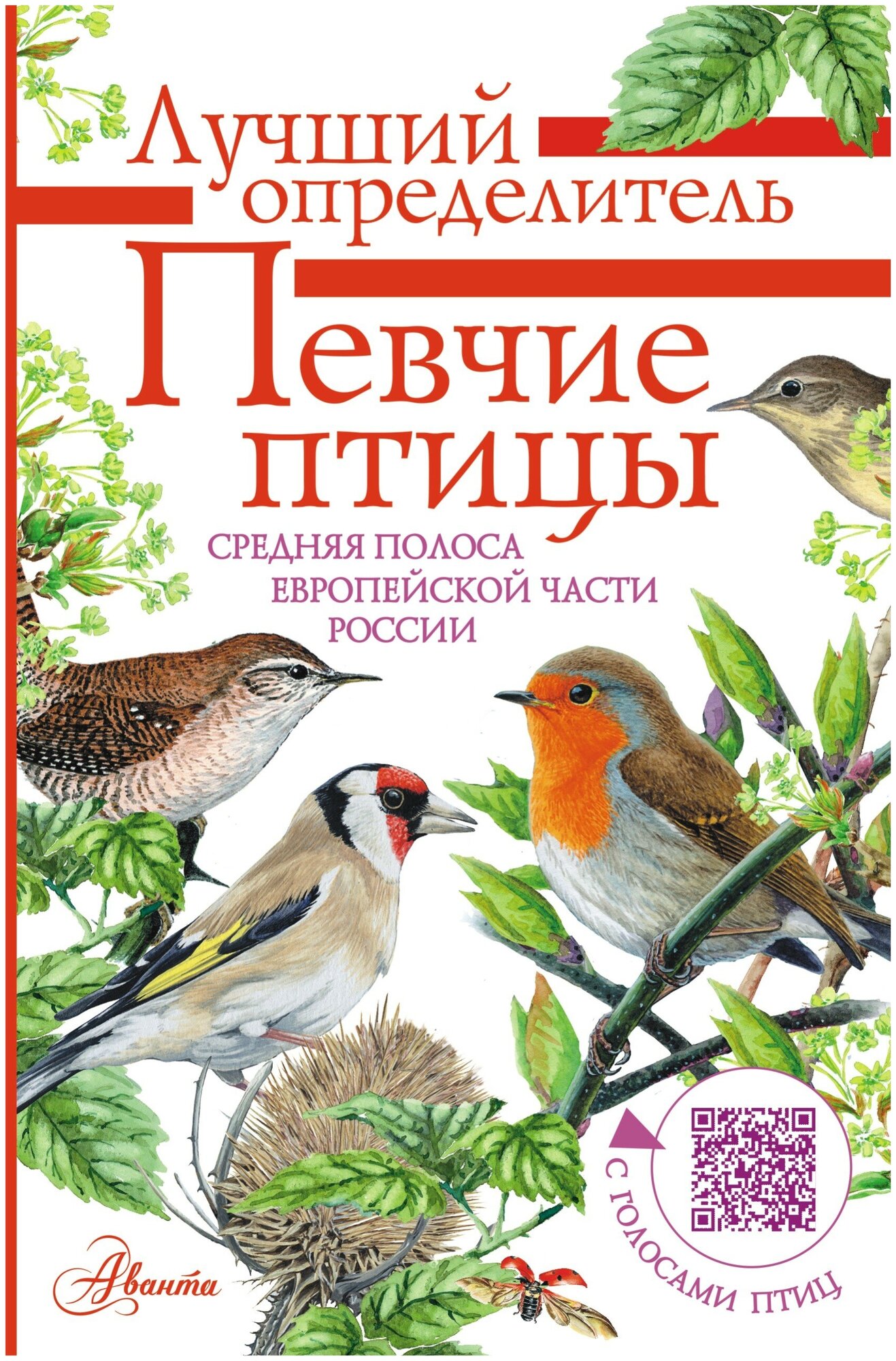 Певчие птицы. Средняя полоса европейской части России. Определитель с голосами птиц Архипов В. Ю, Коблик Е. А.