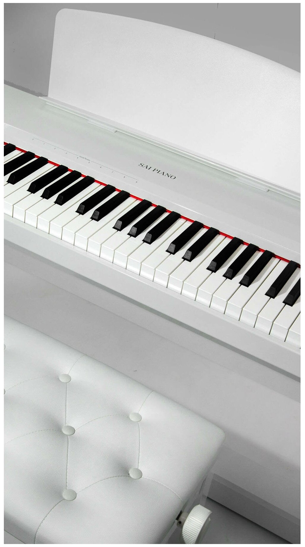 Цифровое пианино Sai Piano P-9