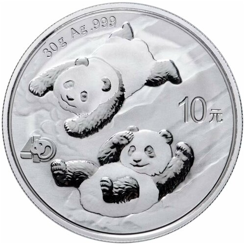 Серебряная монета 10 юаней 999 пробы (30 г чистого серебра) Панда. Китай, 2022 г. в. Proof (полированная). инвестиционная серебряная монета в капсуле 10 юаней 999 пробы 30 г чистого серебра панда китай 2010 г в proof полированная