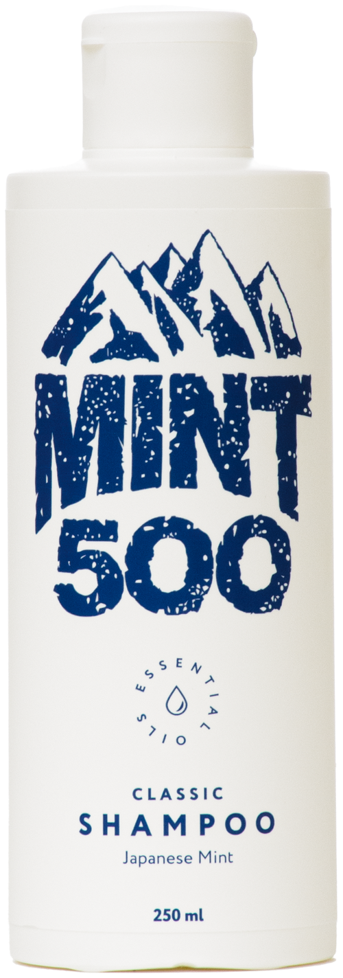 MINTSOO шампунь Classic Japanese Mint, 250 мл