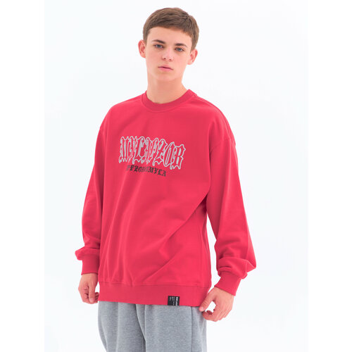 фото Толстовка , размер 48-50(рост 180см), красный kf (koffee)