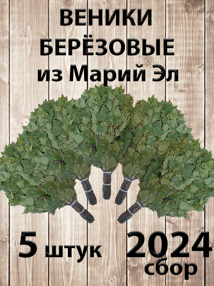 фото Веник березовый для бани 8 штук Марий Эл, сбор 2023 года