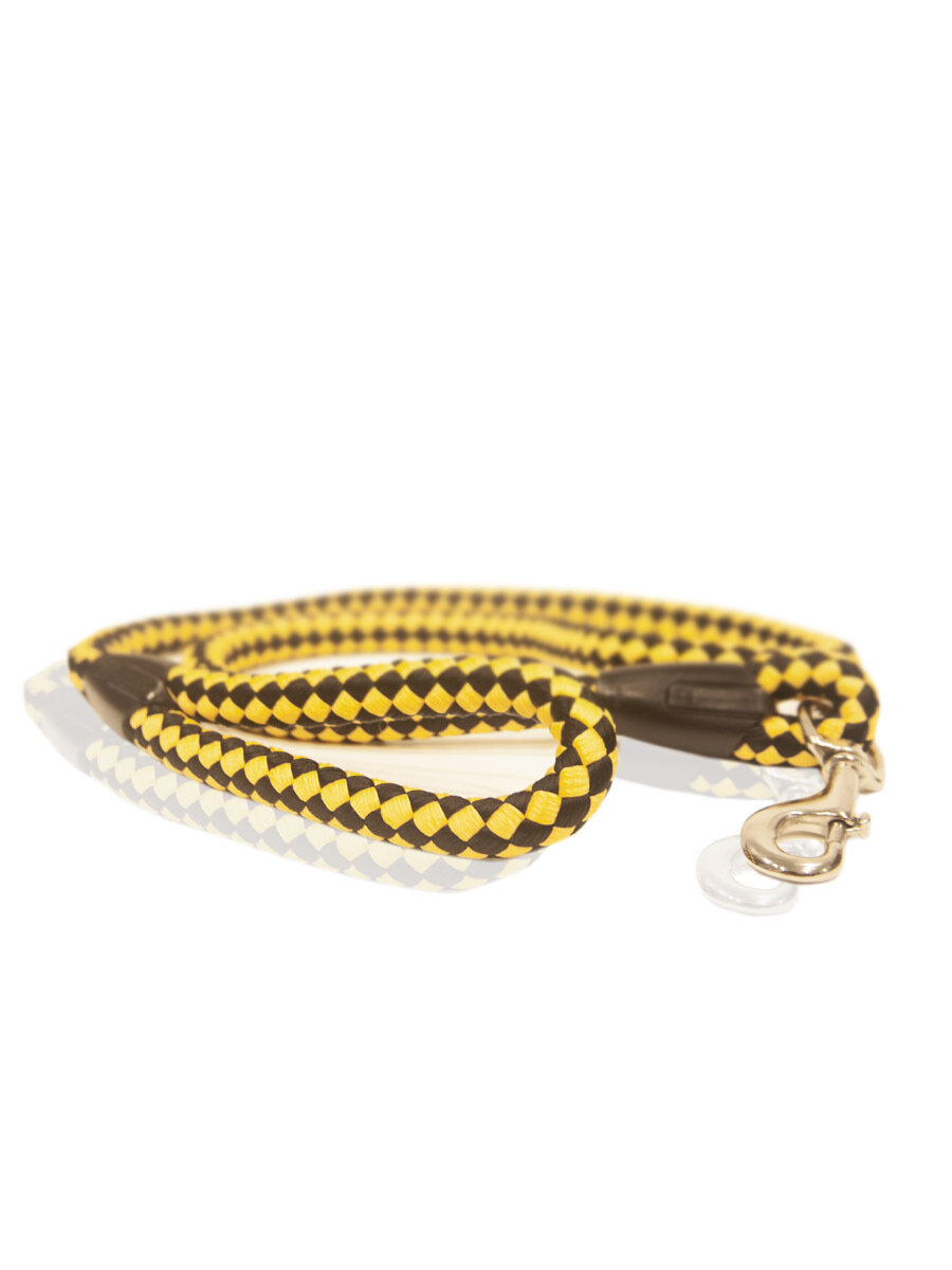 Изображение Поводок для собак Japan Premium Pet с защитой от перегрызания из альпинистской лески, цвет желтый