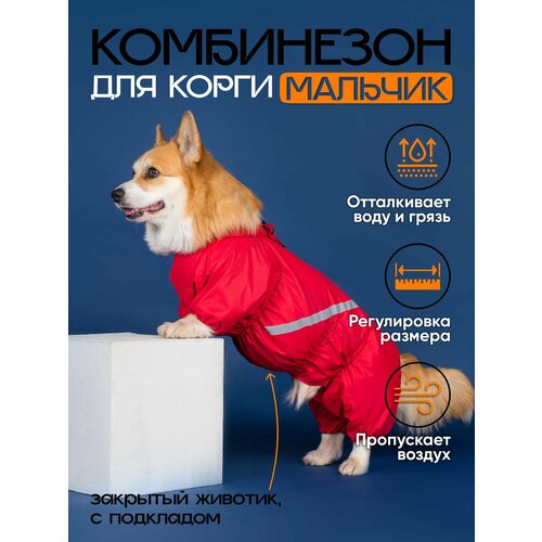 Водоотталкивающий комбинезон DiploDog для Корги (мальчик), Одежда для Корги (мальчик)