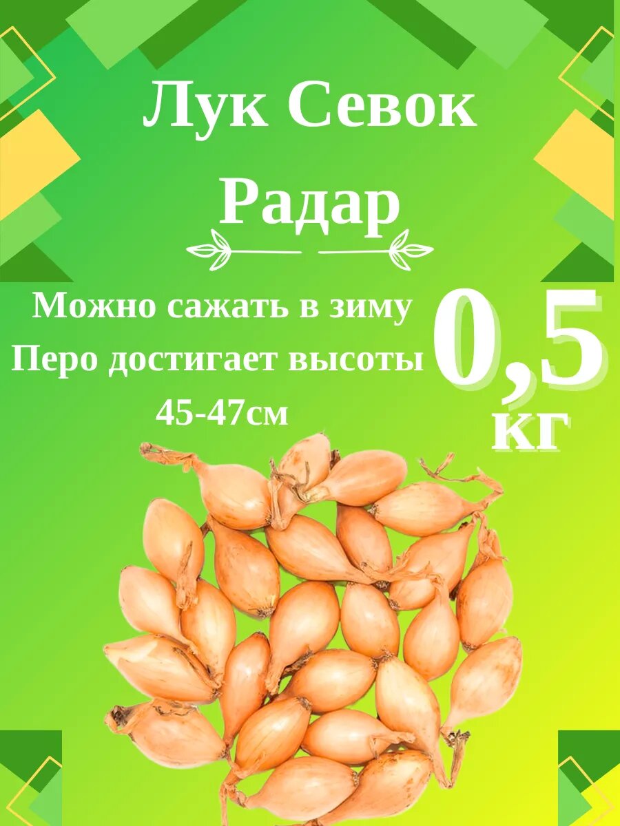 Лук севок сорт  Радар  0 5кг 