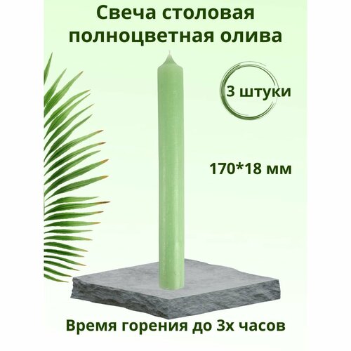 фото Свеча столовая/хозяйственная полноцветная "пастель" 170х18 мм, цвет: олива, время горения 2-3 ч, 3 шт. chameleon