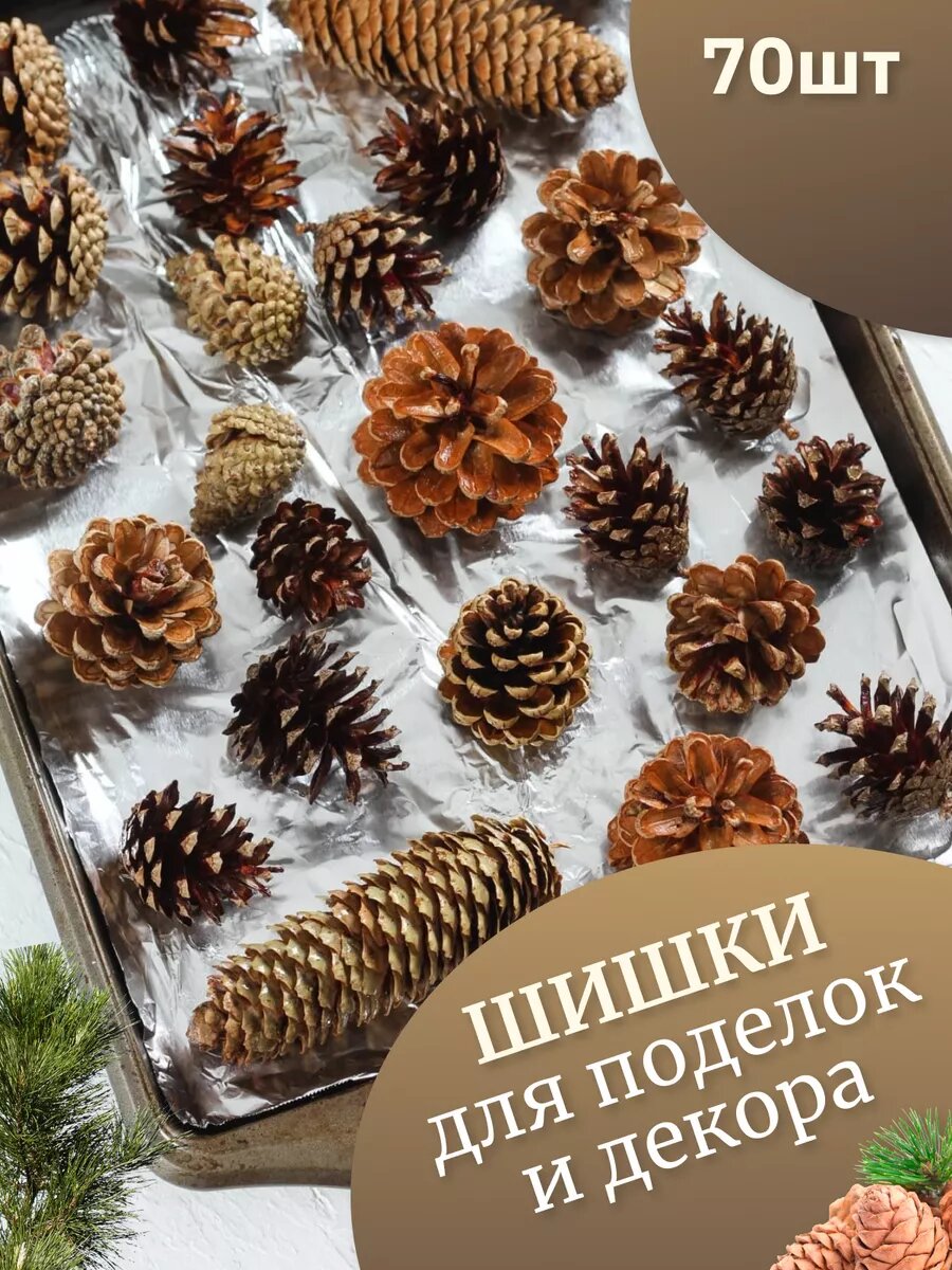 Шишки сосновые 70шт. для...