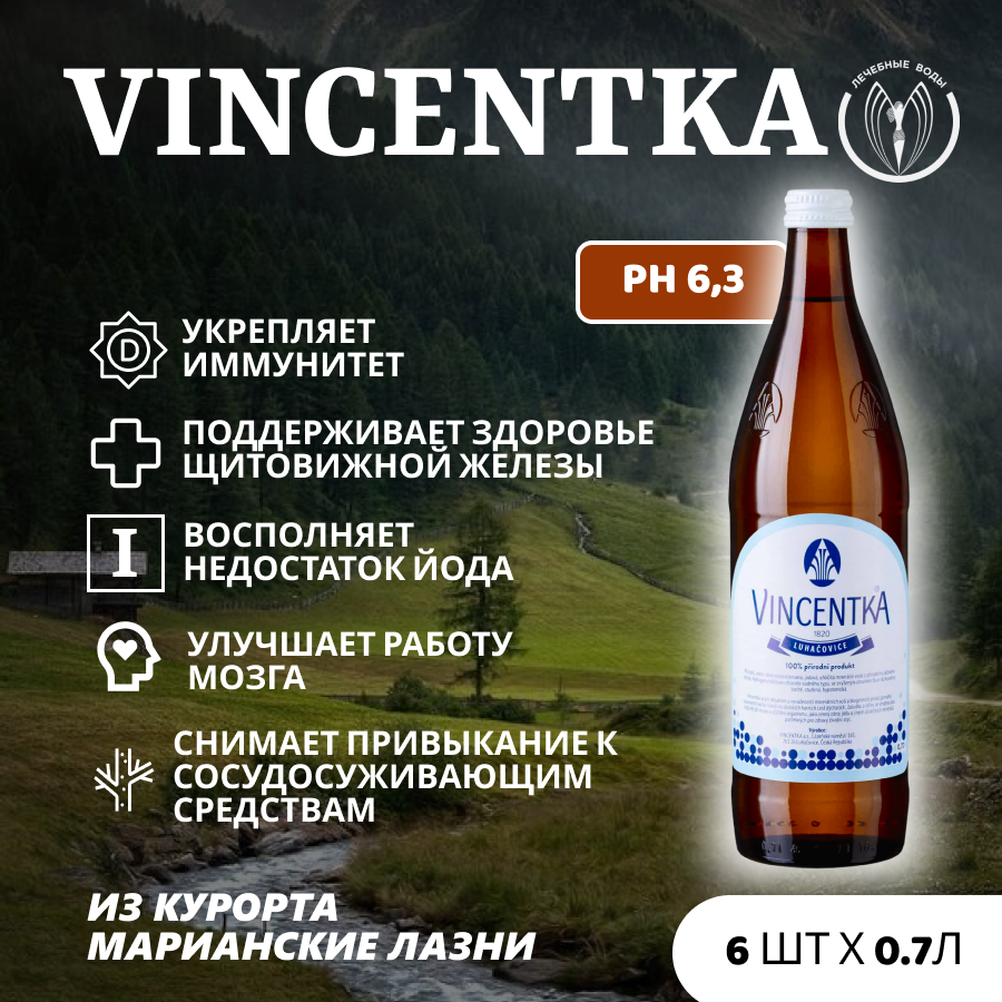 Минеральная лечебная вода Винцентка Vincentka с йодом 07 л х 6 шт йододефицит