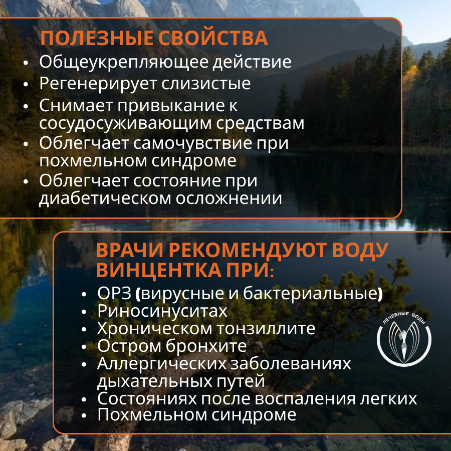 Картинки Минеральная лечебная вода Винцентка (Vincentka) с йодом 0,7 л х 6 шт, йододефицит