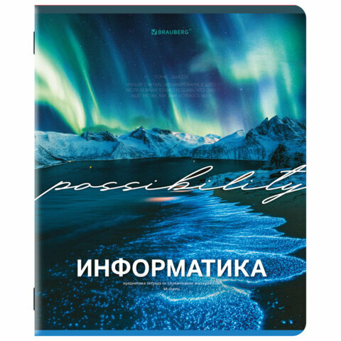 Тетрадь предметная классика природа 48 л, обложка картон, информатика, клетка, подсказ, BRAUBERG, 405088