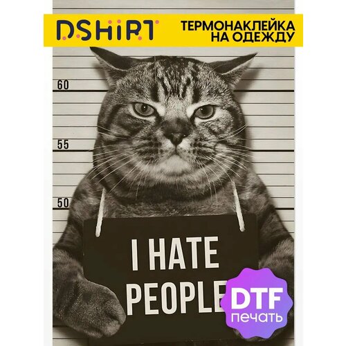 Термонаклейка для одежды Кот