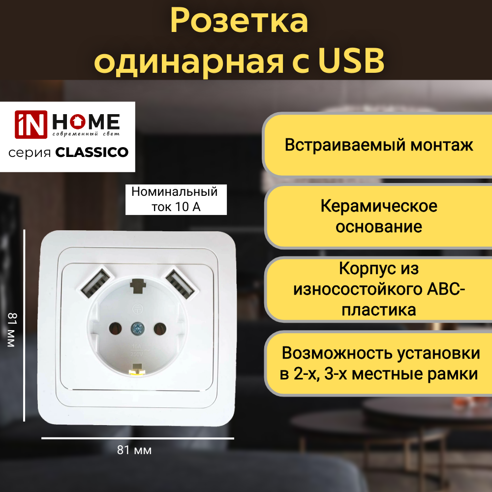 Розетка одинарная IN HOME Classico с двумя USB 2147, Белая