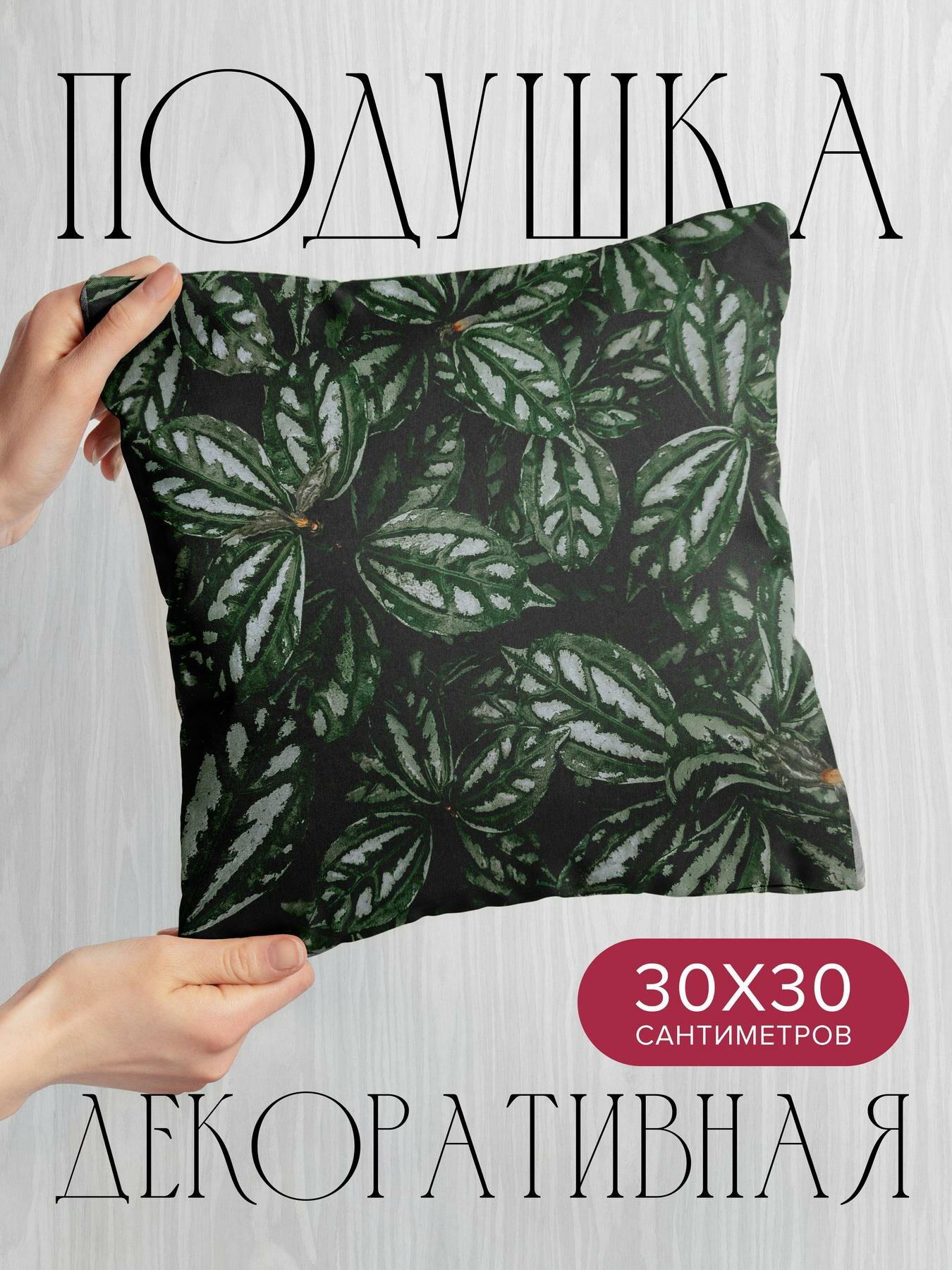 Подушка декоративная, 30x30см / Макро / пилея / растение