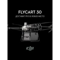 Квадрокоптер Dji flycart 30 Аir Crаnе System kit