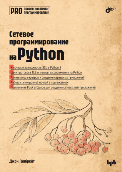 Сетевое программирование на Python [Цифровая книга]