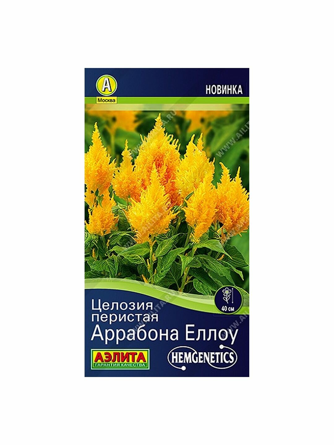 Семена Целозия Аррабона еллоу однолетник Аэлита - Hem Genetics 1 пачка - 7 семян